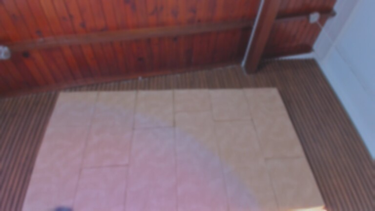 Elizabeth_Dumont's Streamate show and profile